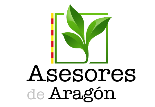 ImagenServicio Asesores Aragón